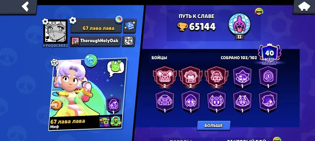 TOP ACC, ALL PERSIANS, LOTS OF SKINS, trophies 78000, brawlers 105, primes 51
