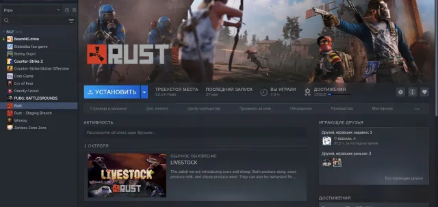 cs2 RUST 100часов + все данные
