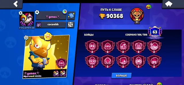 All characters at power level 9 and above, a couple of rare skins, and from the championship, 90368 trophies, 106 brawlers, 63 primes