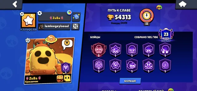 🔥top account from 2019🔥, 54313 trophies, 105 brawlers, 23 primes