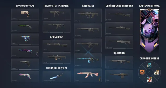 Personal account with SKINS, Sale, Silver 2, Agents: 25, Skins: 12