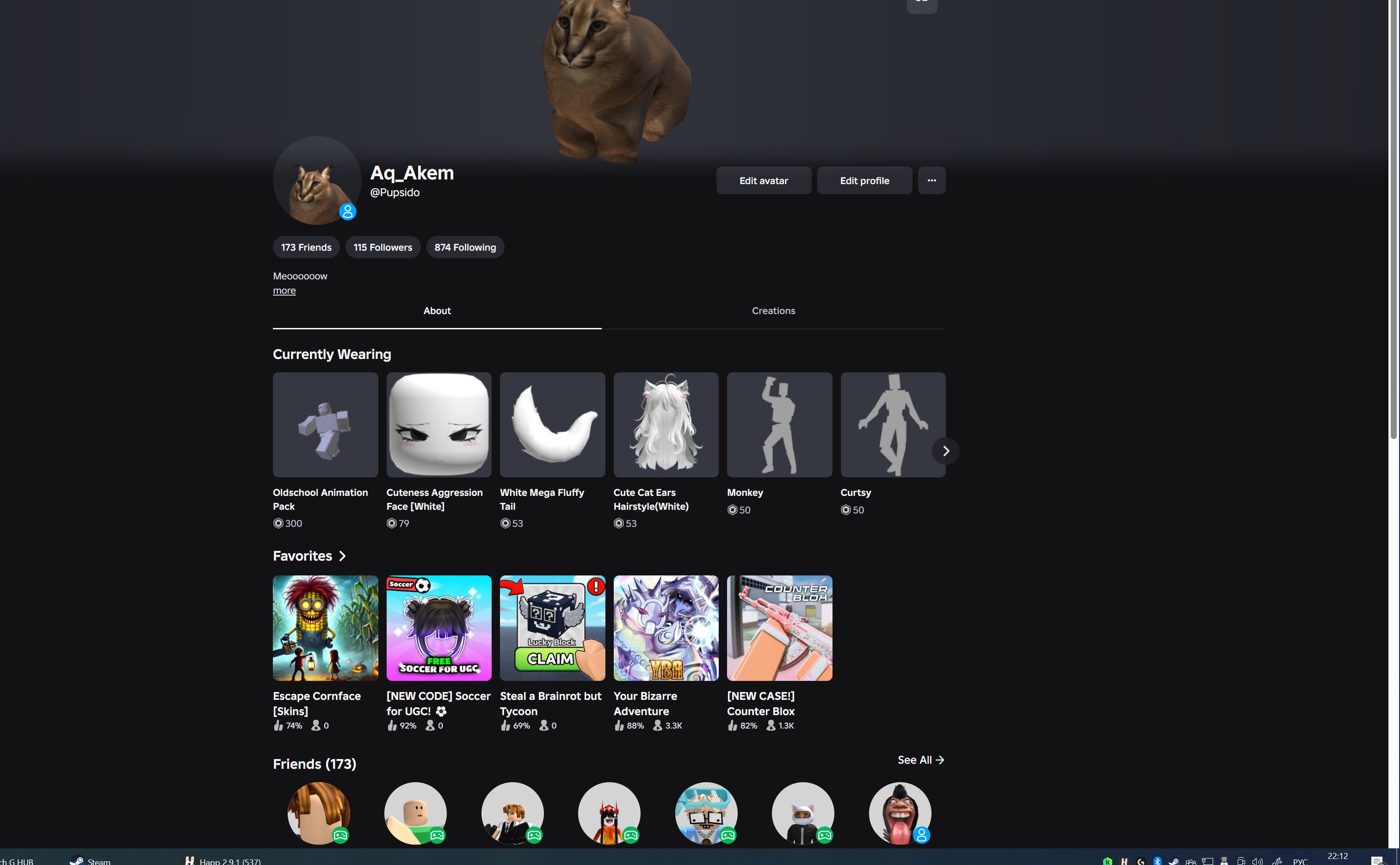 🎮 OLD ROBLOX ACCOUNT (2017) ⏳, Sale, Voice chat: No