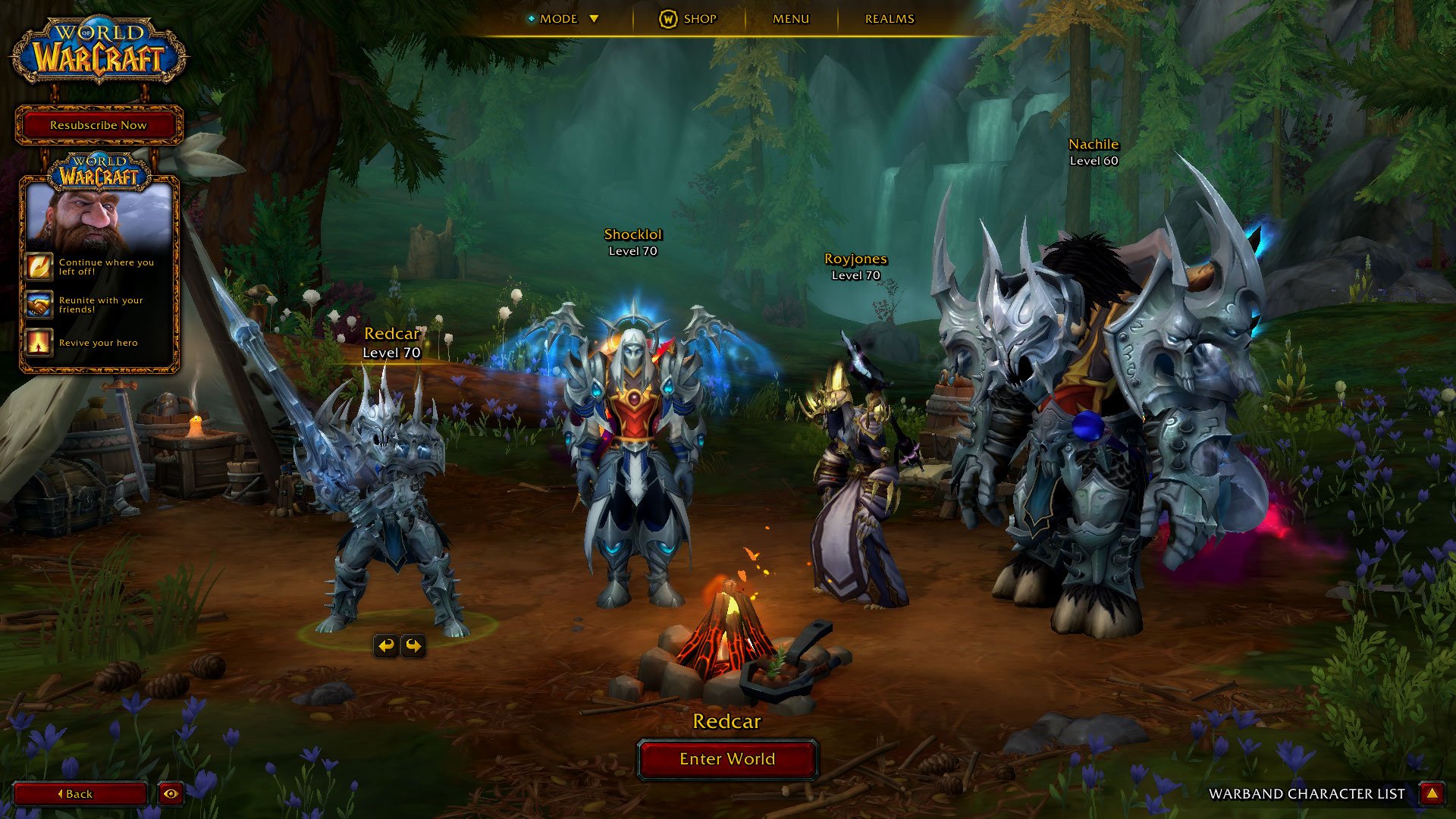 Shadwolands Season 2 Gladiator Priest X2 / Paladin X2 Alliance / Horde, 70 level, Human, Paladin