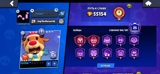 Top account for its price, 55000 trophies, 107 brawlers, 25 primes