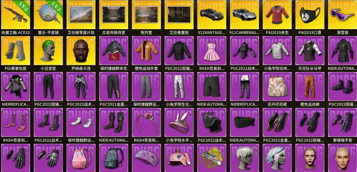 ✅⭐PAI2019 jacket + 2018PGI white bandage gloves + dual sports car accounts✅⭐, Yes BATTLEGROUNDS Plus