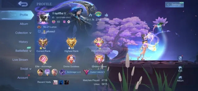 Selling my account. See everything else in the description and screenshots or ask in messages. Sale, Rank: Mythical, Level: 65, Win rate: 56%, Heroes: 123, Skins: 300