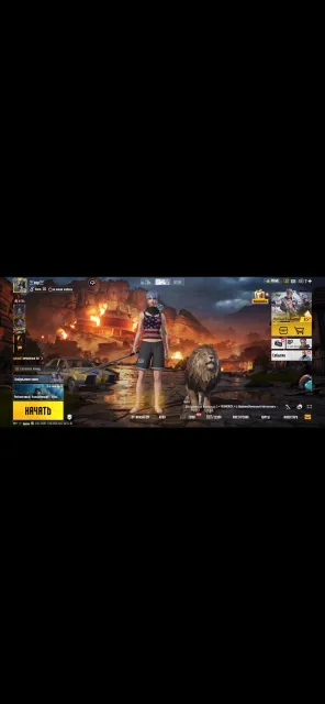 срочно нужно продать чтобы купить девушке цветы, Нет BATTLEGROUNDS Plus