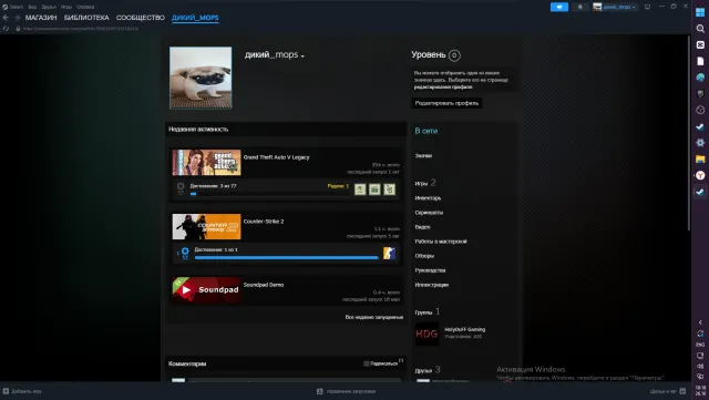 Steam ✧𒁂GTA 5𒁂✧ 350 часов-(продажа), Продажа