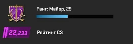 🔵 АВТОВЫДАЧА | ПОЛНЫЙ ДОСТУП | 💜 PREMIER 22 233 | 💛 PRIME | 🛡️ ПАТРУЛЬ | 📩 РОДНАЯ ПОЧТА | 🔐 maFile, Продажа, Инвентарь пуст, Есть PRIME, 22233 CS Rating, Competitive