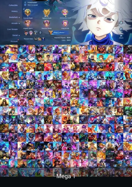 🔥World Collector🔥102LVL🔥Many unique skins and effects🔥