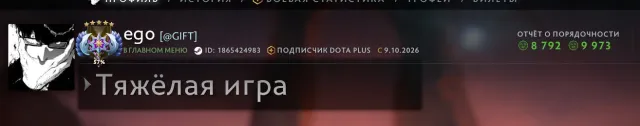 ✅ ВЛАСТЕЛИН 5✅ 10 000 ПОРЯДОЧНОСТИ ✅4552 MMR✅МЕЙНПУЛ✅23 УРОВЕНЬ ТРОФЕЯ✅ ДОТА +, Продажа, 4555 MMR, 10000 порядочности, 9000 вежливости, 300 матчей, 630 часов