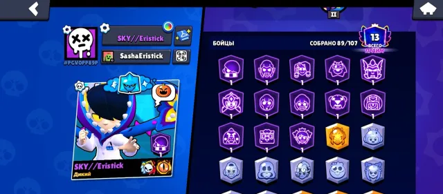 Many skins, 13 Edgar primes at 1.5k, 36600 trophies, 89 brawlers, 13 primes