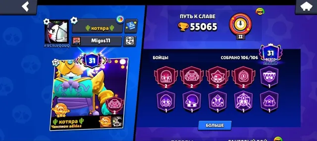 55k 106 brawlers 31 prime READ DESCRIPTION, 55000 trophies, 106 brawlers, 31 primes