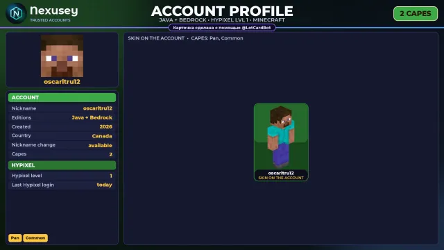 🚀 ⟦ MINECRAFT ⟧ JAVA + BEDROCK ✦ 2 CAPES: Pan ✦ FULL ACCESS ✦ NO BAN HYPIXEL (1 LVL) ✨ #4FMEBK, Sale, All account data