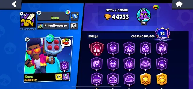 jdjskdkskaldk | dkakdkkskaka, trophies 45000, brawlers 104, primes 14
