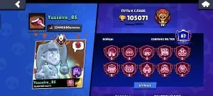 Fpfpdplsksjsjsjskskskkxnsbajxosnwgduxnbahsixnsksmdnsidnxjdnjxbdh, trophies 105071, brawlers 98, primes 87