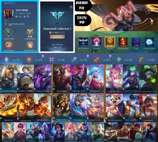 ⚡ 73 HERO • GOOD EMBLEM • RARE & EPIC SKINS • IOS/ANDROID • CHECK DESCRIPTION!, Продажа, Ранг: Эпик, Уровень: 38, Процент побед: 52%, Герои: 73, Облики: 70