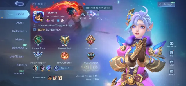 SAFE & CHEAP |EMBLEM MAX, HAYABUSA ANNUALSTAR AND HAVE 27 EPIC SKIN, Продажа, Ранг: Эпик, Уровень: 95, Процент побед: 50%, Герои: 131, Облики: 210