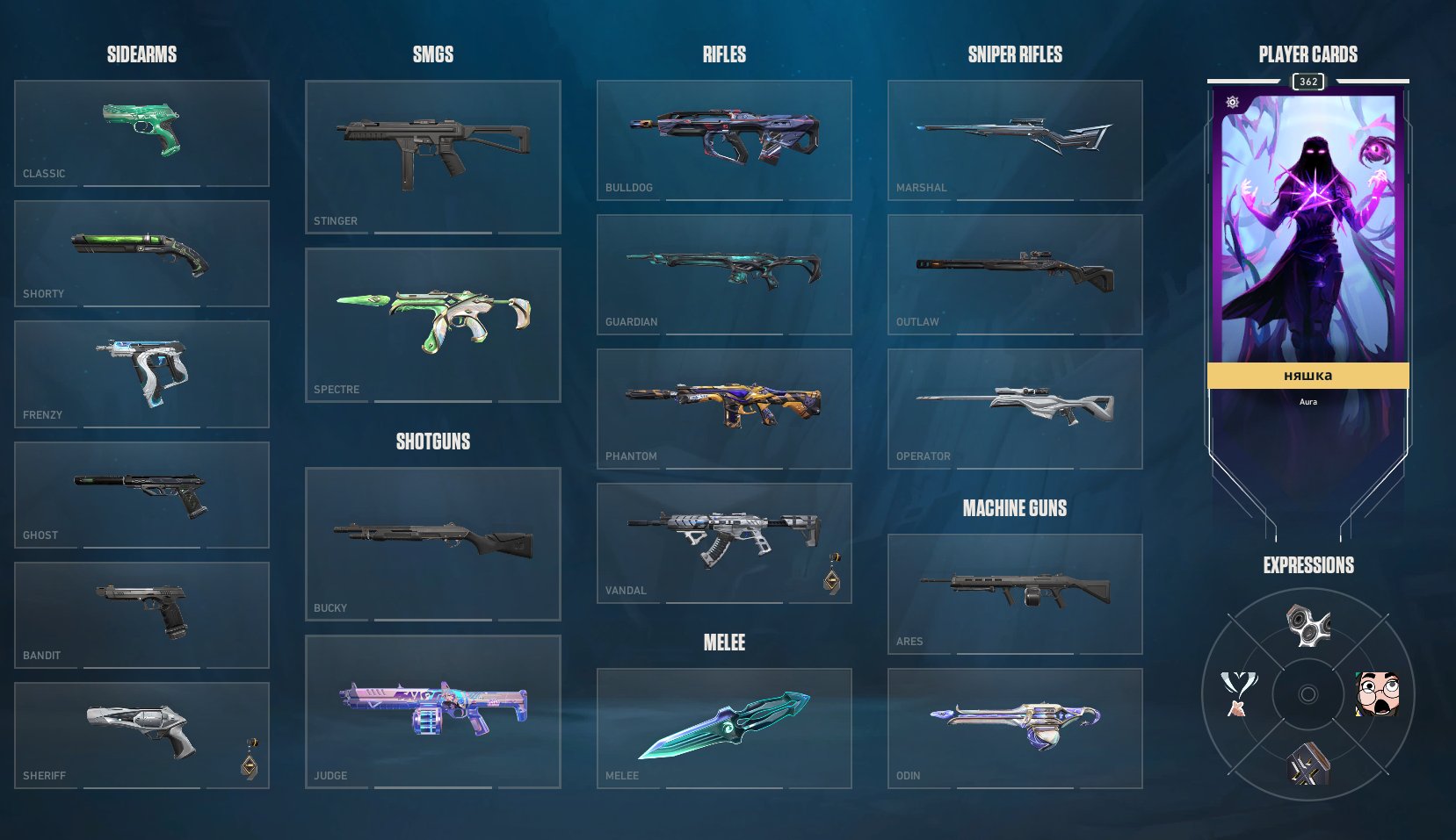 RADIANT ACCOUNT | LOTS OF SKINS | PERSONAL ACCOUNT |, Sale, Immortal 3, Agents: 29, Skins: 306