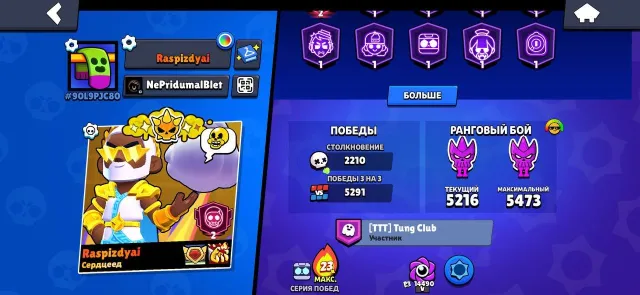 Brawl Stars Account 2021: 180 skins, 350 badges, rare positions, 48211 trophies, 101 brawlers, 16 primes