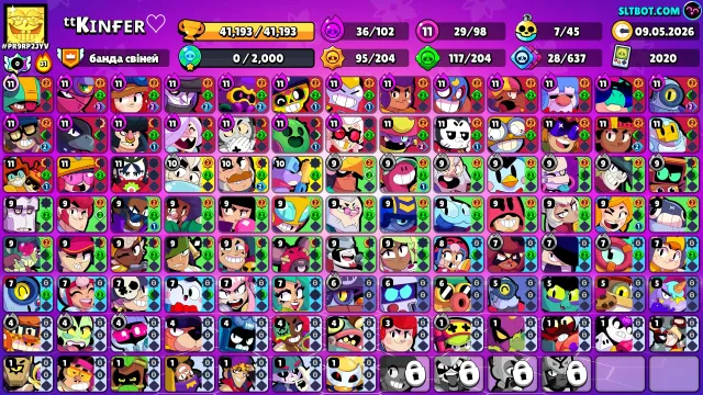 moon cat\night cat 24-25 years old 3.50 kg, trophies 41193, brawlers 98, primes 13