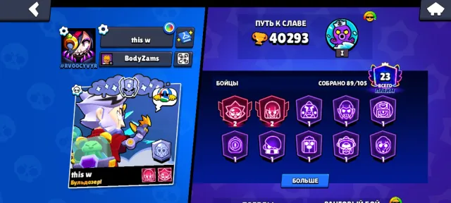 Good account, has old skins, 40293 trophies, 89 brawlers, 23 primes