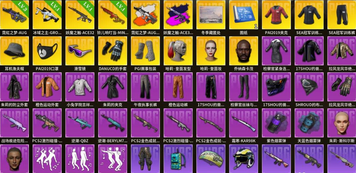 💎⭐PAI2019 jacket + SEA champion training jacket set + DANUCD gloves, PGI event package💎⭐, Yes BATTLEGROUNDS Plus