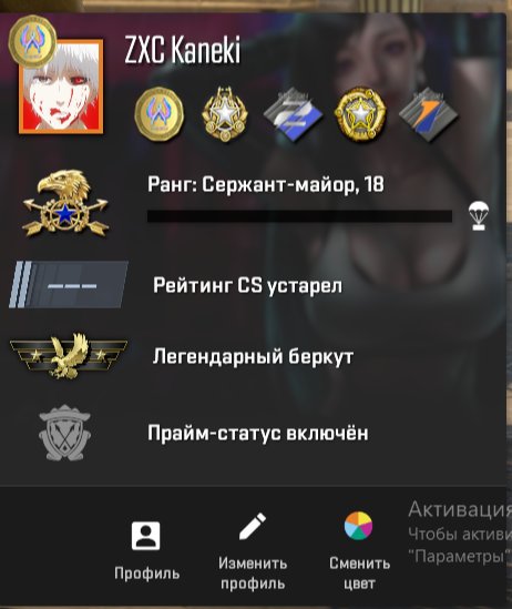 🖤【 CS 2 | Prime + 1720 Hours 】🖤【5 MEDALS 】🖤【 Region: Russia 】🖤LIFETIME WARRANTY 🖤, Sale, Available, Yes PRIME, 20000 CS Rating