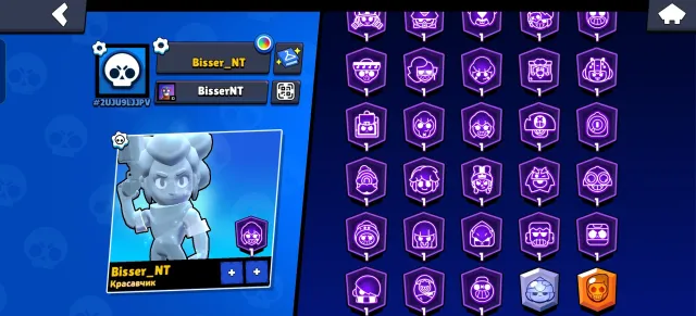 PRIMES AT SMALL FORCES 28 Primes Free nickname change Automatic issue Best price, trophies 30116, brawlers 40, primes 28