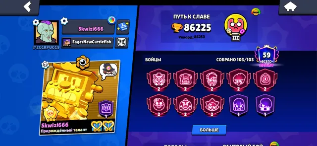 Old account from 2019, skins for 30000+k gems, trophies 87000, brawlers 104, primes 59