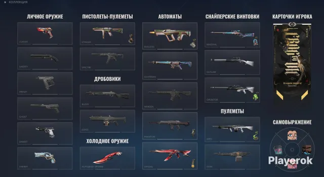Account for foundation with full re-linking quickly and reliably, Sale, Bronze 2, Agents: 16, Skins: 18