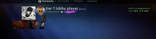 🤍🤍7000 ММР💙МЕЙНПУЛ 77 ТРОФЕЙ💙ВЫСОКАЯ ПОРЯДОЧНОСТЬ💙ШМОТКИ💙ИДЕАЛЬНЫЙ ПОД МЕЙН🤍🤍, Продажа, 6925 MMR, 9600 порядочности, 7580 вежливости, 5108 матчей, 5896 часов