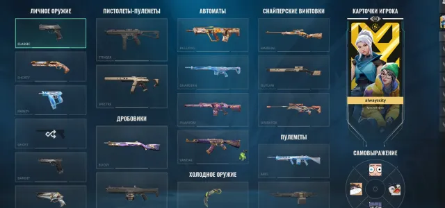 personal ak 26lvl operator knife and vandal, Sale, Gold 3, Agents: 19, Skins: 15