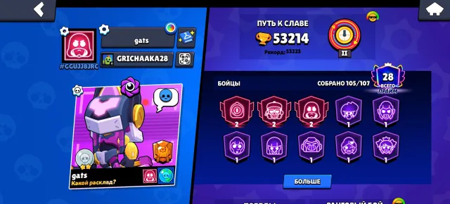 Good account, buy it, 53214 trophies, 105 brawlers, 28 primes