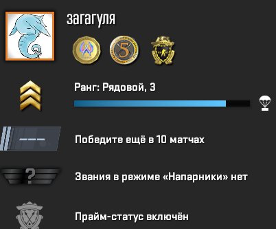 PRIME | INVENTORY 1400 RUBLES | 27 RANK | 100% GUARANTEE, Sale, Available, Yes PRIME, Competitive
