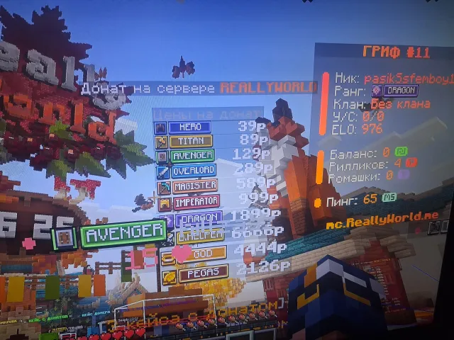 📌SELLING ACCOUNT ON 🌱ReallyWorld WITH DRAGON DONATION read the description before buying❗🙏, Sale, All account data