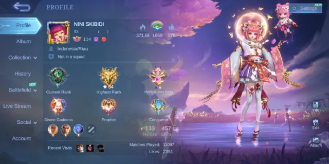 ⚜️ MEGA COLLECTOR IV | 2 LEGEND 👑 14 GRAND SKIN ✨ 5 COLLECTOR 🍀 8 LUCKYBOX | CAN CHANGE EMAIL, Sale, Rank: Epic, Level: 114, Winrate: 54%, Heroes: 133, Skins: 457