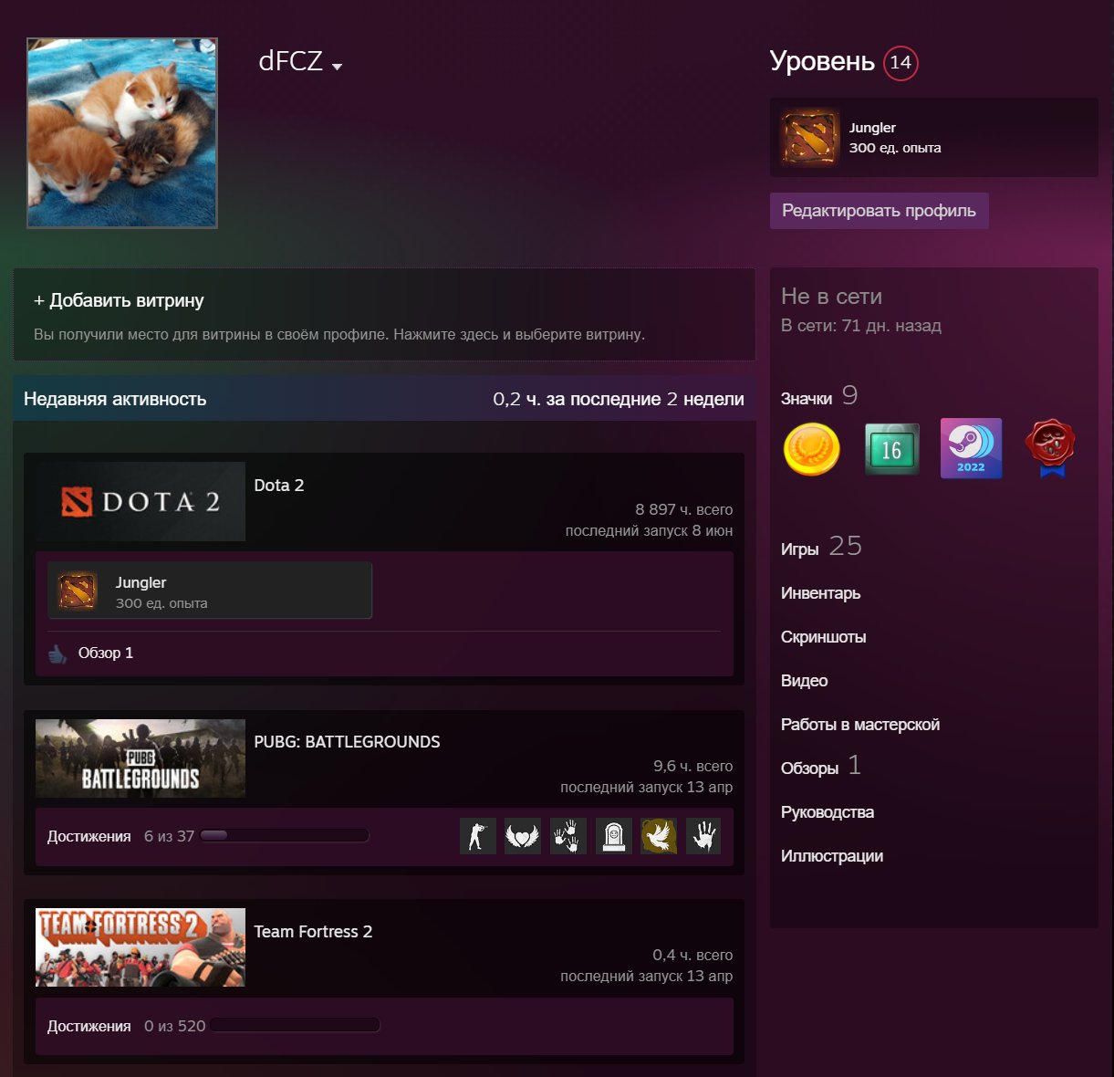 ✅ DOTA 2 ✅ HOURS - 8896 ✅ 10629 - RANK ✅ | PRIME CS:2 ( 4 Medals ) ✅, Sale, 7101 games