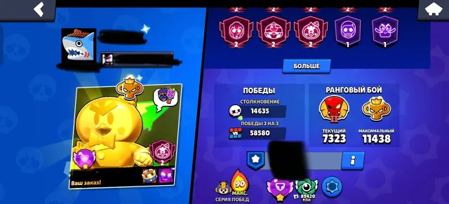 About league, very many skins, under the base, 124537 trophies, 107 brawlers, 103 primes