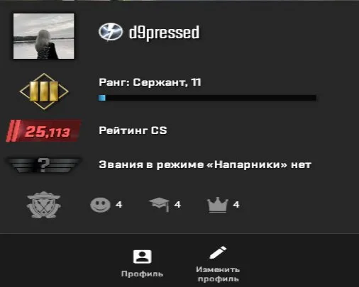 CS2 PRIME Data Change STEAM full access to the account premier available 25113 elo rating, Sale, Inventory empty, Has PRIME, 25113 CS Rating