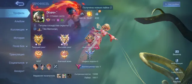 Selling personal account | Ruby Aspirant, Angela | Freya Legend |, Sale, Rank: Mythical Glory, Level: 112, Win rate: 53%, Heroes: 133, Skins: 462