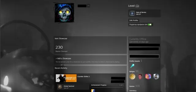 ✅100 Level Steam✅11 Gorgeous Medals✅Many Games✅ 240,000 Points✅No FACEIT Access✅, Sale, Inventory empty, Has PRIME