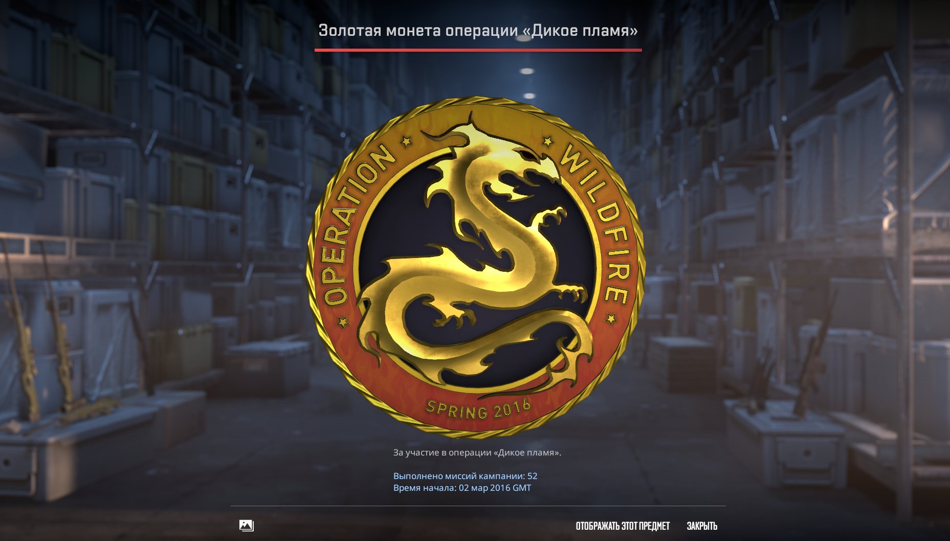 🟢🟢🔴【CS 2 | Prime + 504 Hours】【 9 Medals: Golden Hydra, Wild Flame 】【Year 17, 19 + Shattered Web 】🔴🟢🟢, Sale, Available, Yes PRIME