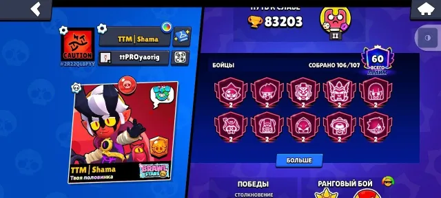Greetings, the account has many different skins, 83203 trophies, 106 brawlers, 60 primes
