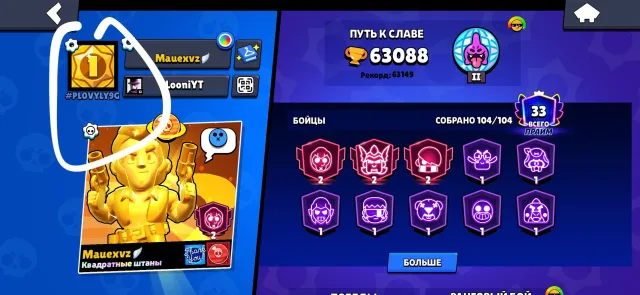 Top account for the base. Lots of skins and tons of stuff., trophies 63000, brawlers 104, primes 33
