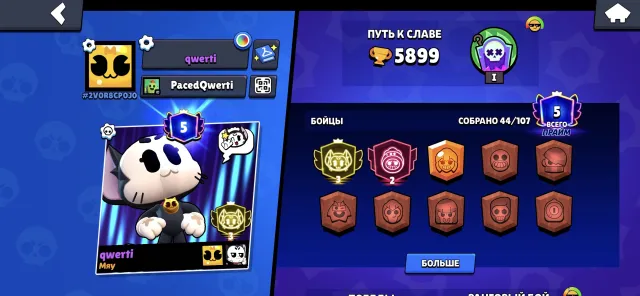 Third Prime on the Whale/Very many resources and keys/Free Nickname Change + ID, 5899 trophies, 44 brawlers, 5 primes
