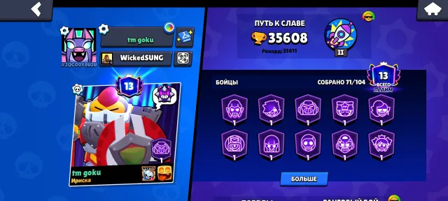 take a top account , very cheap, trophies 35608, brawlers 72, primes 13