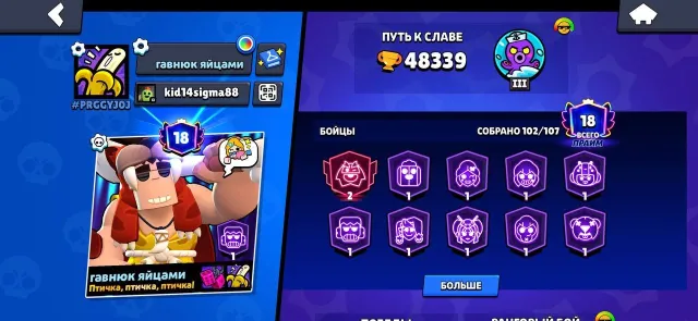 account 18 primes, 2019 year, 48k trophies, 48339 trophies, 102 brawlers, 18 primes