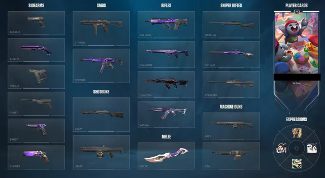 🌙 Selling personal account with beautiful skins 🌙, Sale, Under calibration, Agents: 12, Skins: 24