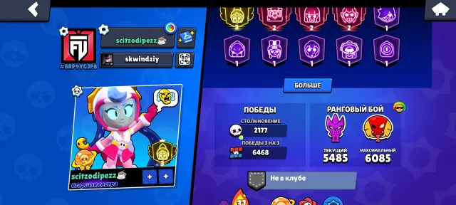 BIG BRAWL ACCOUNT WITH 3 PRESTIGE, trophies 58000, brawlers 104